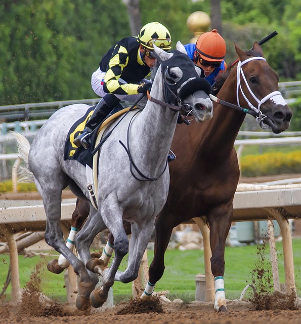 不惧对抗的 不惧对抗的